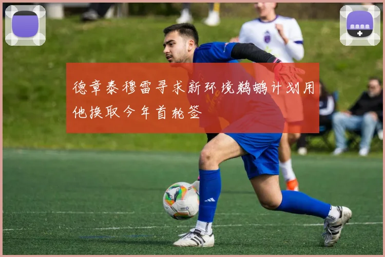 德章泰穆雷寻求新环境鹈鹕计划用他换取今年首轮签